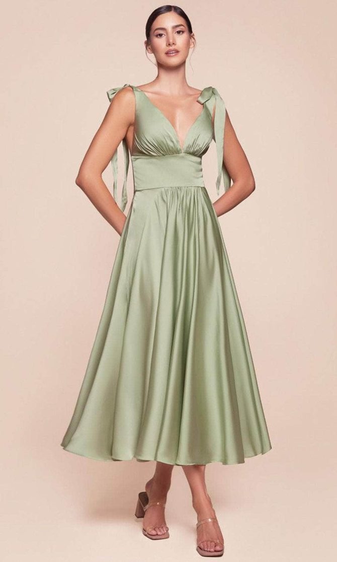 Tea Length A-Line Dress - Image 8